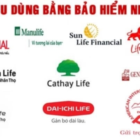 Hướng Dẫn Vay Tiền Bằng Bảo Hiểm Nhân Thọ